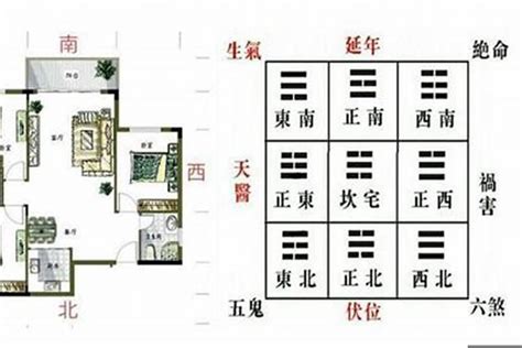 如何分辨青龙位|怎么看家里的青龙方位？了解风水学让你家更旺！